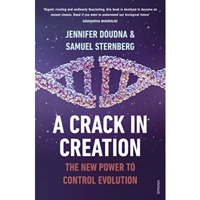 Afbeelding van A Crack in Creation