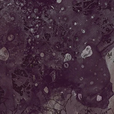Afbeelding van Pinkish Black Razed To The Ground