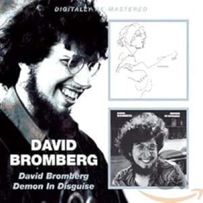 Afbeelding van David Bromberg / Demon In Disguise