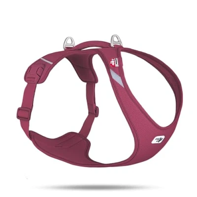 Afbeelding van Curli Belka Comfort Hondentuig Helemaal Nieuw Roze XL (XL, Hond, Algemeen), Kraag + Leiband