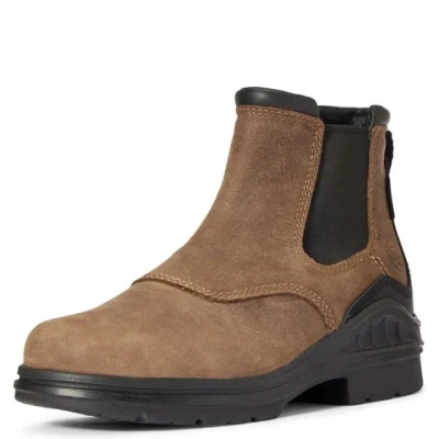 Afbeelding van Chaussures Barnyard Ariat