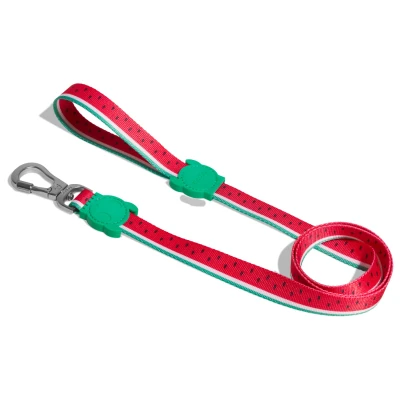 Afbeelding van Zee.Dog Looplijn Lola Rood&amp;Mintgroen&amp;Wit Hondenriem 120x2.5 cm