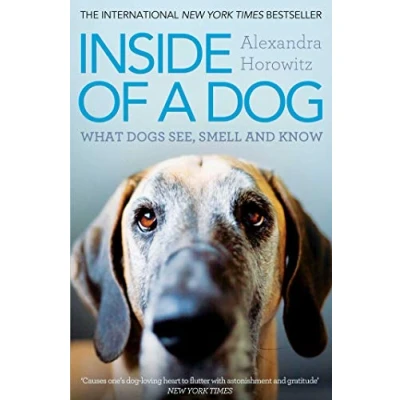 Afbeelding van Inside Of A Dog
