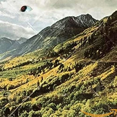 Afbeelding van Woods Songs Of Shame (CD)