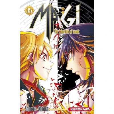 Image de Magi The Labyrinth of Magic tome 35