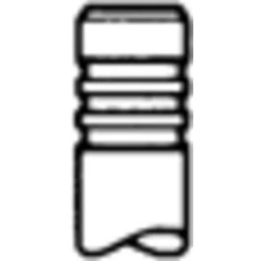 Afbeelding van TRW Engine Component Inlaatklep 22314