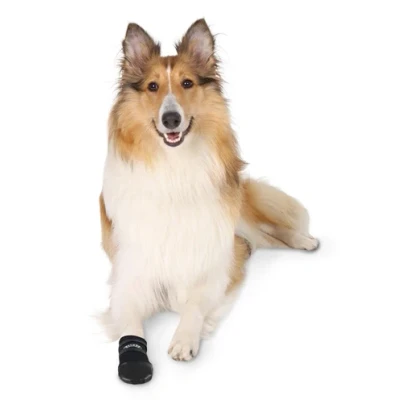 Afbeelding van Trixie Walker Care Beschermschoenen Zwart 2 Stuks XL 20X10 CM (366028)