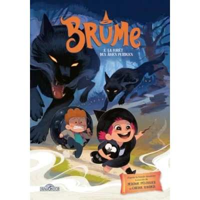 Afbeelding van BRUME,2:LA FORET DES AMES PERDUES