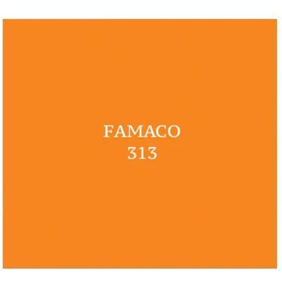 Afbeelding van Famacolor extra dekkend 15ml oranje (mandarijn) (313)