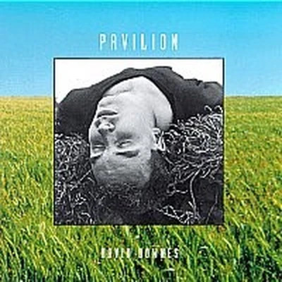 Afbeelding van David Downes Downes, David: Pavilion (CD)