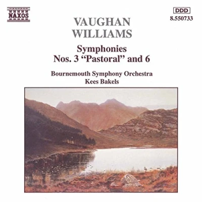 Afbeelding van Bournemouth So Symphonies 3 &amp; 6 (CD)