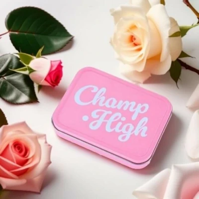 Afbeelding van Champ High Bewaarblik Licht Roze Tin Box