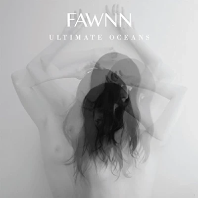 Afbeelding van Fawnn Ultimate Oceans (LP)
