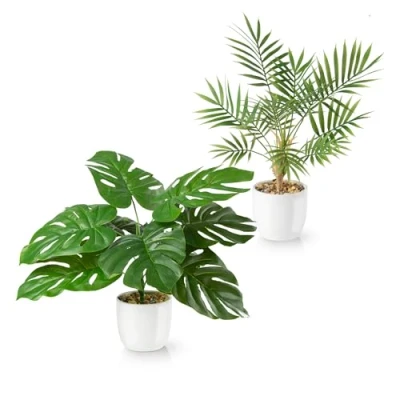 Afbeelding van PASCH® Kunstplanten zoals echte planten in hoogglans keramische potten Kunstplant pot, Monstera &amp; Areca palm (2 stuks)
