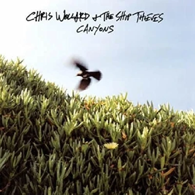 Afbeelding van Chris Wollard &amp; The Ship Thieves Canyons (CD)