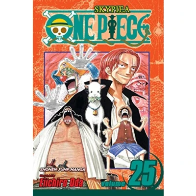 Afbeelding van One Piece Vol 25