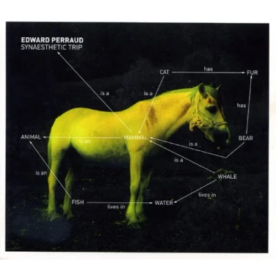 Afbeelding van Edward Perraud Synaesthetic Trip (CD)