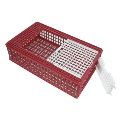 Image de Kerbl Boîte de Transport Avicole Rouge/Blanc