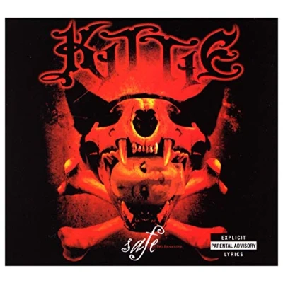 Afbeelding van Kittie Safe
