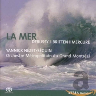 Afbeelding van Lute Songs