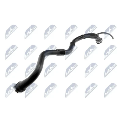 Afbeelding van NTY GPP RE 006 Laadluchtslang Rubber met voering van stof RENAULT: MEGANE 2 Kombi, Coupe Cabriolet, SCENIC