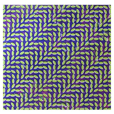 Afbeelding van Animal Collective Merriweather Post Pavilli