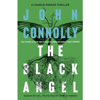 Afbeelding van Black Angel