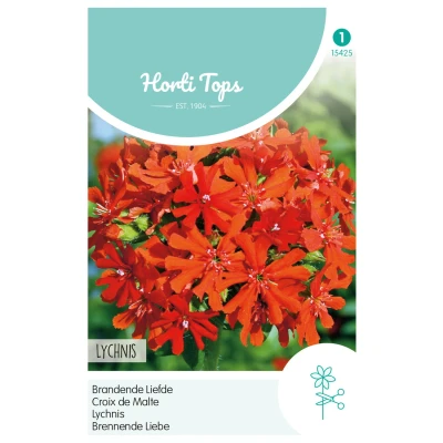 Afbeelding van Lychnis Chalcedonica Brandende Liefde Hortitops