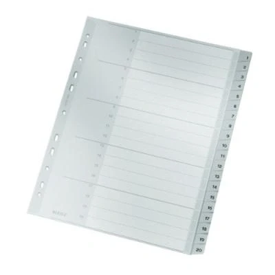 Image de Esselte leitz 12840000 trieur a4 20 onglets en polypropylène (gris)