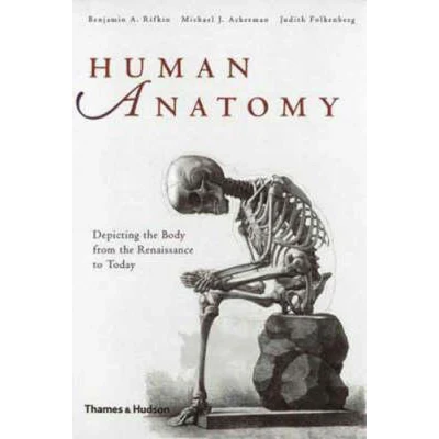Afbeelding van Human Anatomy