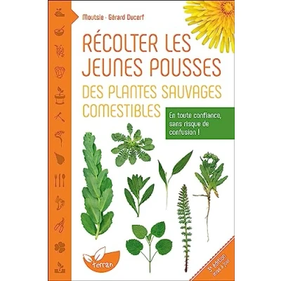 Afbeelding van RECOLTER LES JEUNES POUSSES DES PLANTES SAUVAGES COMESTIBLES