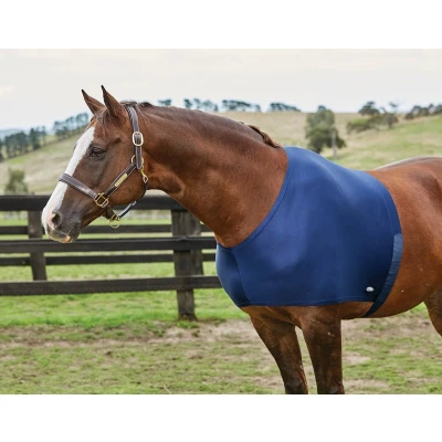 Afbeelding van Weatherbeeta Shoulder Guard Stretch Navy Pony