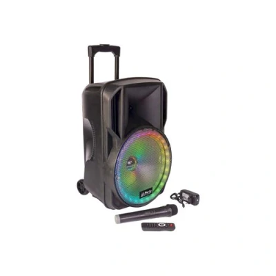 Image de PARTY Light &amp; Sound 15RGB Haut parleur sans fil Bluetooth 2 voies