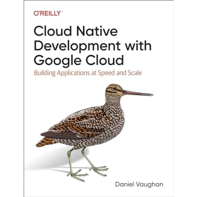 Afbeelding van Programming Cloud Native Applications With Google