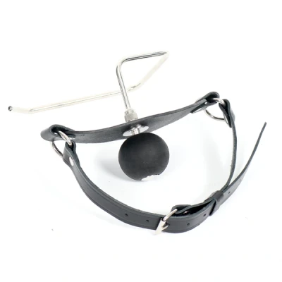 Afbeelding van Leren &amp; Siliconen Ballgag The Holder