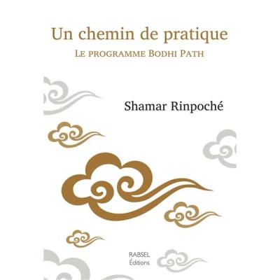 Image de Un chemin de pratique