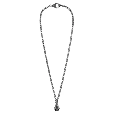 Afbeelding van Philipp Plein PJPEA08NU Ketting Heren EDGE 74+5cm