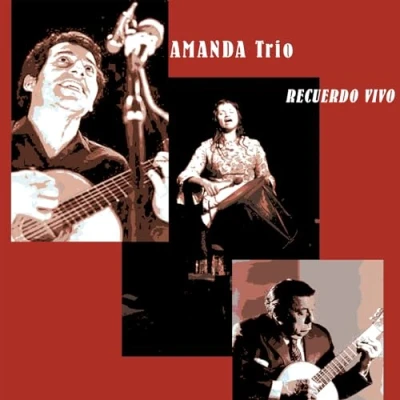 Afbeelding van Amanda Recuerdo Vivo (CD)