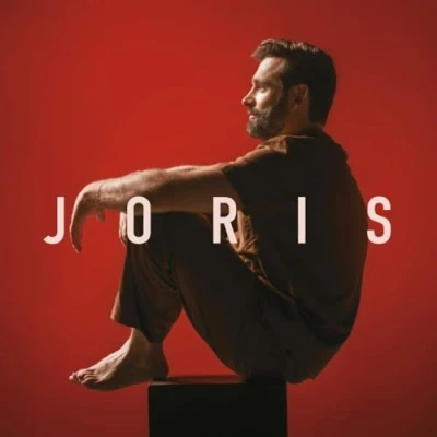 Afbeelding van Cnr Records Belgie Nv Metejoor Joris Lp