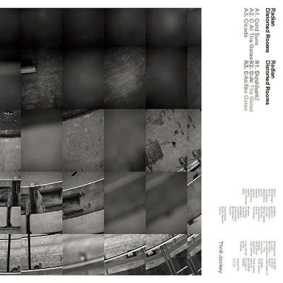 Afbeelding van Radian Distorted Rooms (LP)