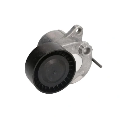 Afbeelding van Ina Spanner poly V riem 534 0611 10