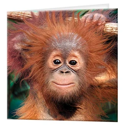 Afbeelding van 3D LiveLife Wenskaart Baby Orang Oetan van Deluxebase. Kleurrijke aap lenticulaire kaart voor elke gelegenheid en leeftijd, verjaardag, originele licentie kunstenaar, David Penfound
