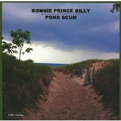 Afbeelding van Pond Scum