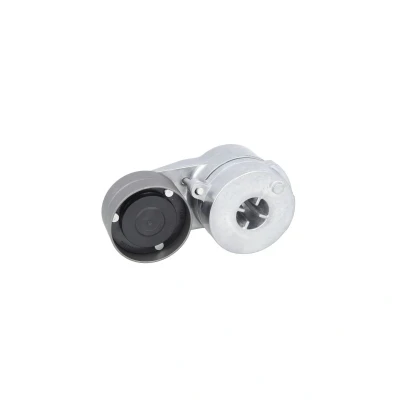 Afbeelding van PETERS ENNEPETAL 010.697 00A Riemspanner