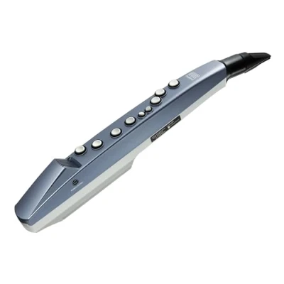 Afbeelding van Roland AE 01 Aerophone Mini Digitale synthesizer
