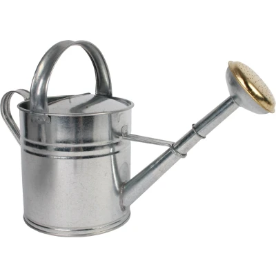Afbeelding van Talen Tools Gieter 5 liter Metaal Verzinkt 50 x 19.5 19 cm