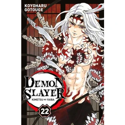 Image de Demon Slayer T22