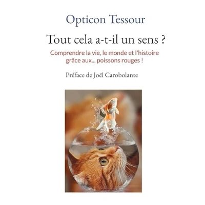 Afbeelding van Tout cela a t il un sens ?