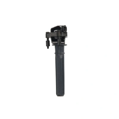 Afbeelding van DELPHI GN10187 12B1 Bobine 2 12