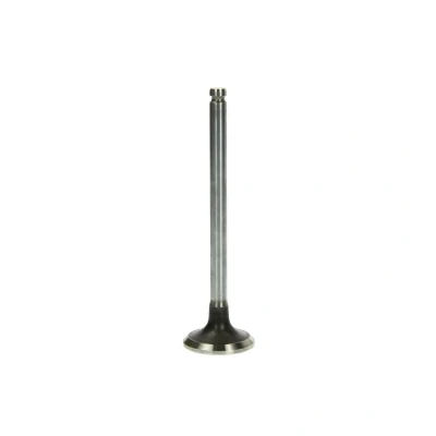 Afbeelding van Uitlaatklep FRECCIA R3990/RCR